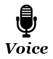 voice