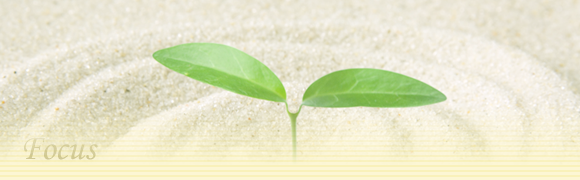 フォーカス社会資源